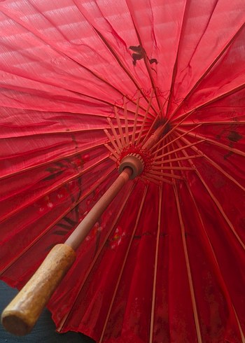 Japon Şemsiyesi - Görsel 8