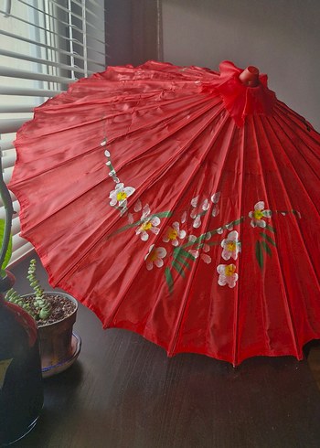 Japon Şemsiyesi - Görsel 3