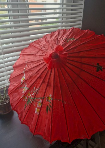 Japon Şemsiyesi - Görsel 5