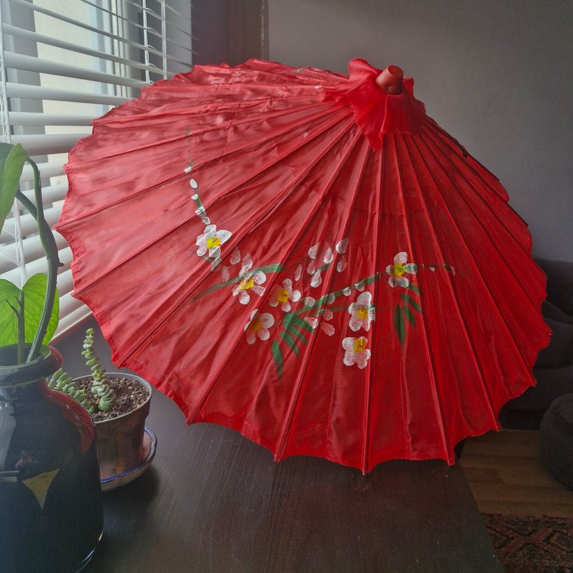 Japon Şemsiyesi - Görsel 4