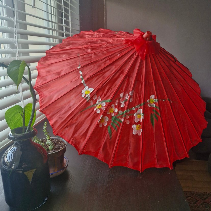 Japon Şemsiyesi - Görsel 3