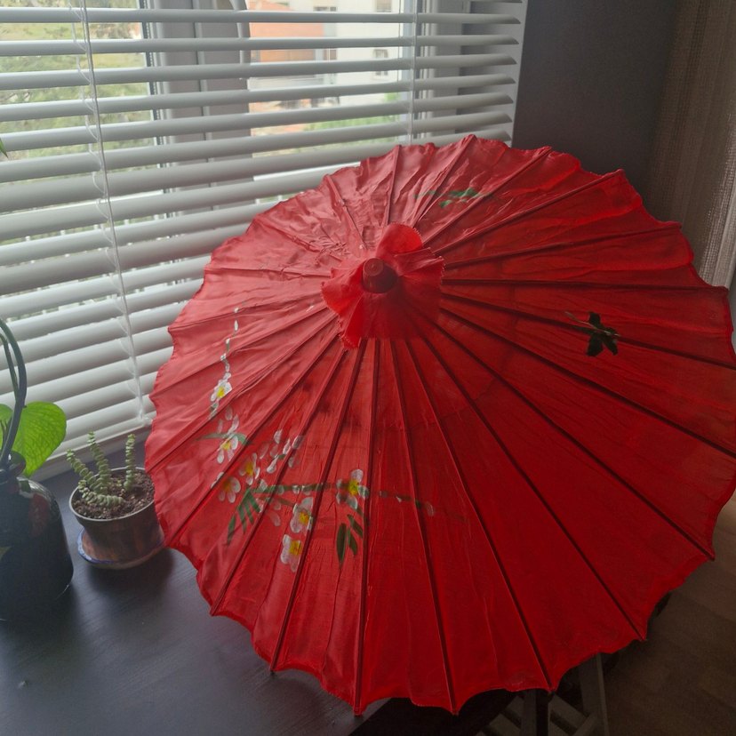 Japon Şemsiyesi - Görsel 5