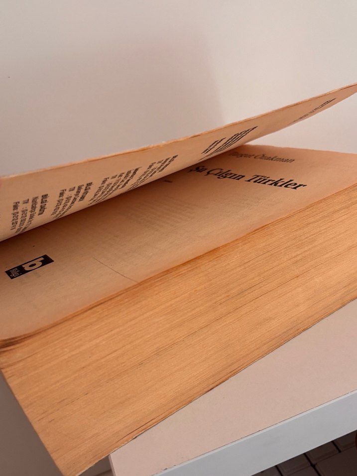 Şu Çılgın Türkler - Görsel 3