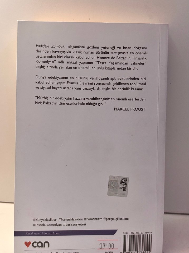 Vadideki Zambak - Honoré de Balzac - Görsel 2