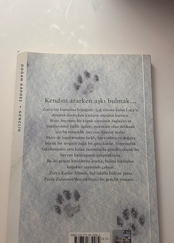 Beden Son Kara Kedi , Zorro Karlar Altında Çocuk Kitapları