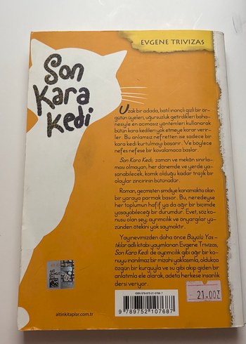 Son Kara Kedi , Zorro Karlar Altında Çocuk Kitapları - Görsel 5