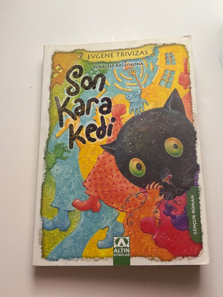 Son Kara Kedi , Zorro Karlar Altında Çocuk Kitapları - Görsel 4