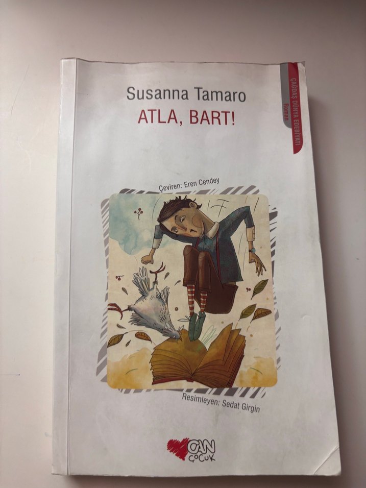 Son Kara Kedi , Zorro Karlar Altında Çocuk Kitapları - Görsel 2