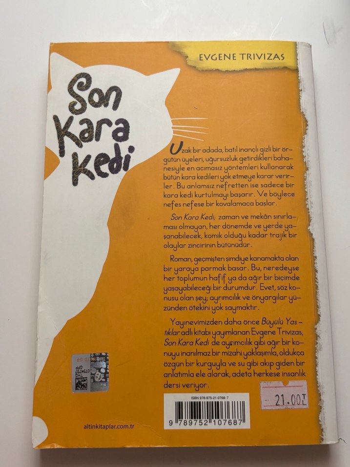 Son Kara Kedi , Zorro Karlar Altında Çocuk Kitapları - Görsel 5