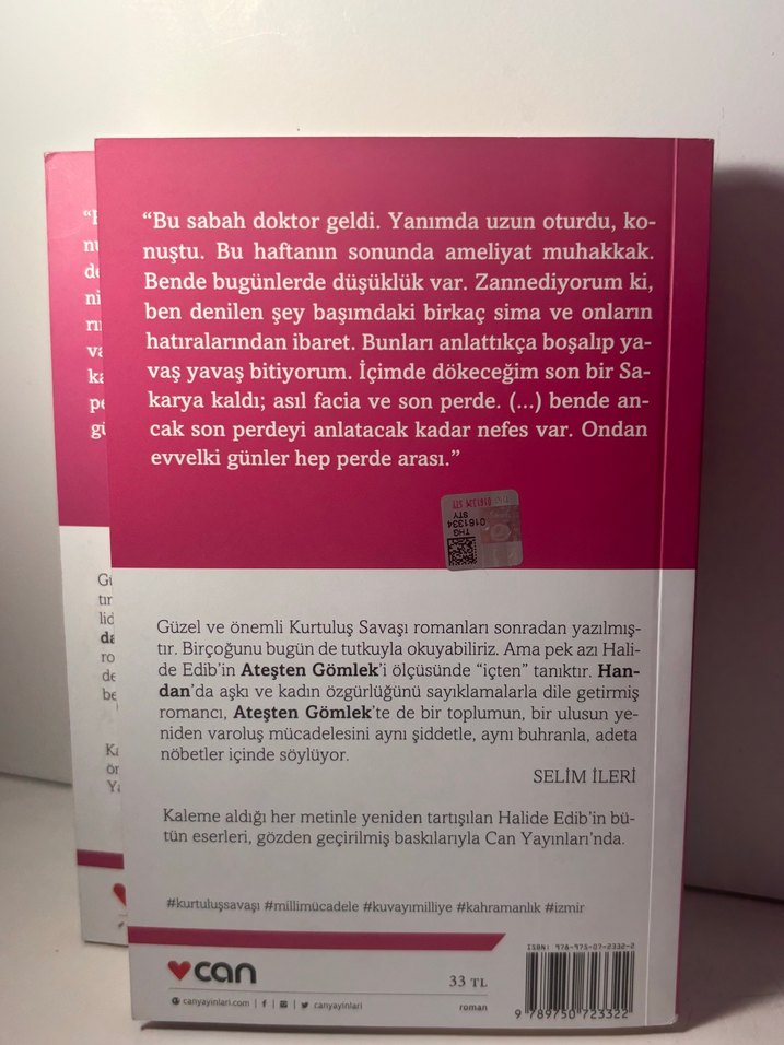 Halide Edib Adıvar - Ateşten Gömlek - Görsel 2