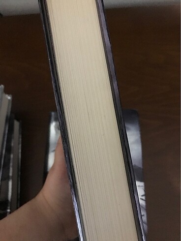 HUSH HUSH SERİSİ