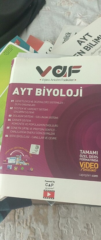 çap vaf ayt biyoloji - Görsel 2