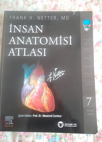 netter anatomi atlası 