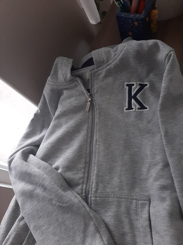 ted Kapüşonlu Fermuarlı Gri Erkek Sweatshirt - Görsel 2