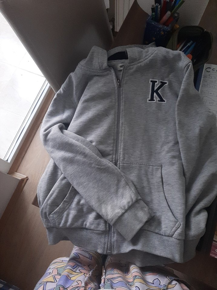 ted Kapüşonlu Fermuarlı Gri Erkek Sweatshirt - Görsel 3