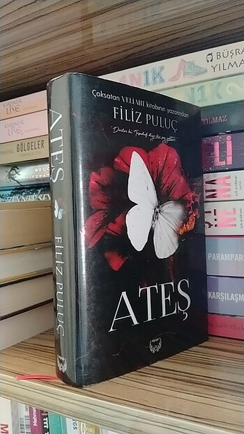 Ateş (filiz puluç)