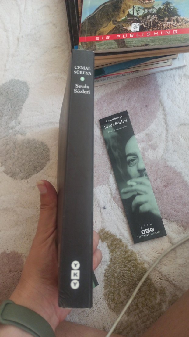 Sevda Sözleri - Cemal Süreya - Görsel 3