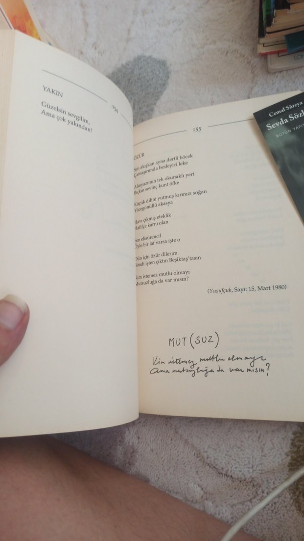 Sevda Sözleri - Cemal Süreya - Görsel 4