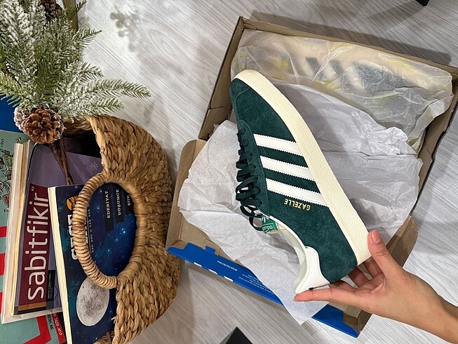 Erkek gazelle