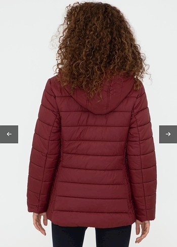m Beden bordo Renk U.S POLO ŞİŞME MONT