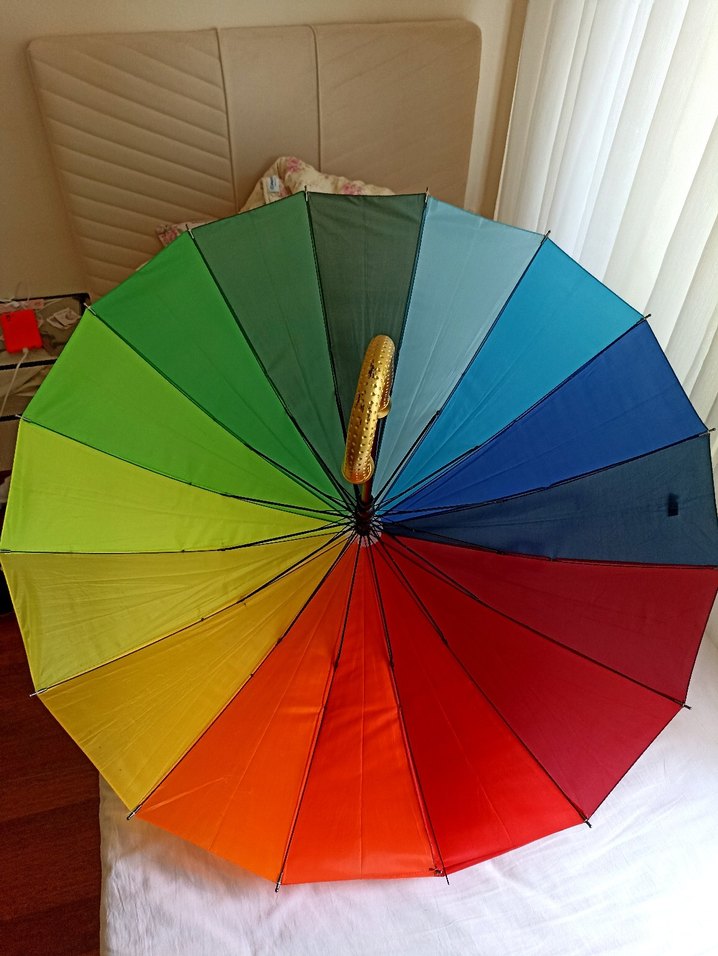 Kadın Renkli Pilili Şemsiye - Görsel 2