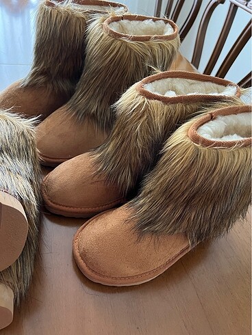 37 Beden Ugg bot