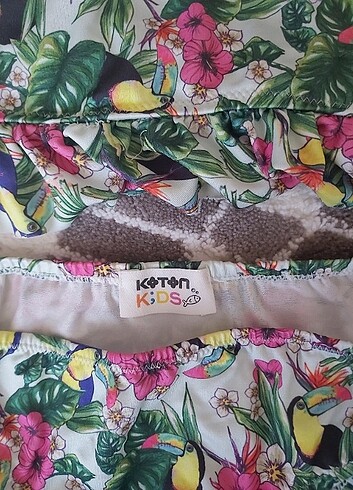 Koton Koton kız çocuk bikini takım