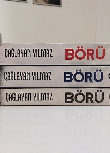  Çağlayan yılmaz börü 