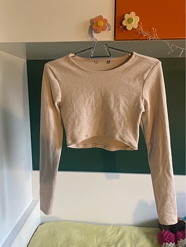 Bej uzun kollu crop
