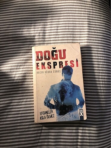 DOĞU EKSPRESİ