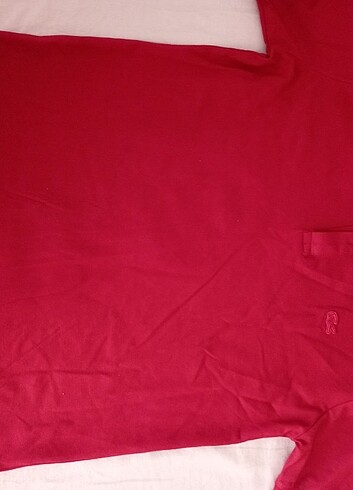 Lacoste tişört  - Görsel 2