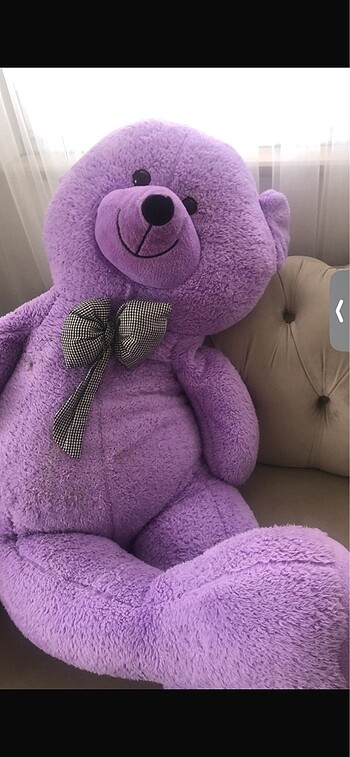 peluş ayı