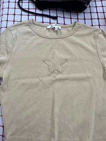 koton crop