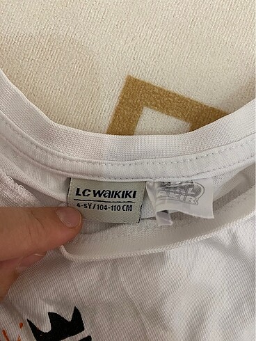 LC Waikiki Erkek çocuk
