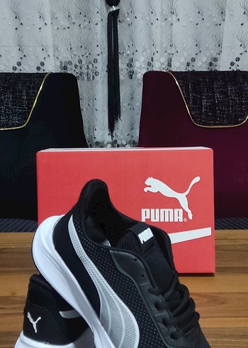 37 Beden siyah Renk Puma Siyah Elastik Bağcıklı Erkek Spor Ayakkabı