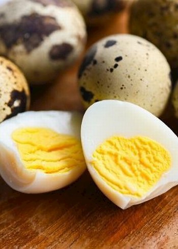 taze günlük Bıldırcın Yumurtası bir koli(12 adet) - Görsel 2