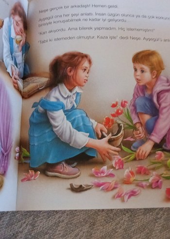  Ayşegül - Kardeşimi Çok Seviyorum Kitap
