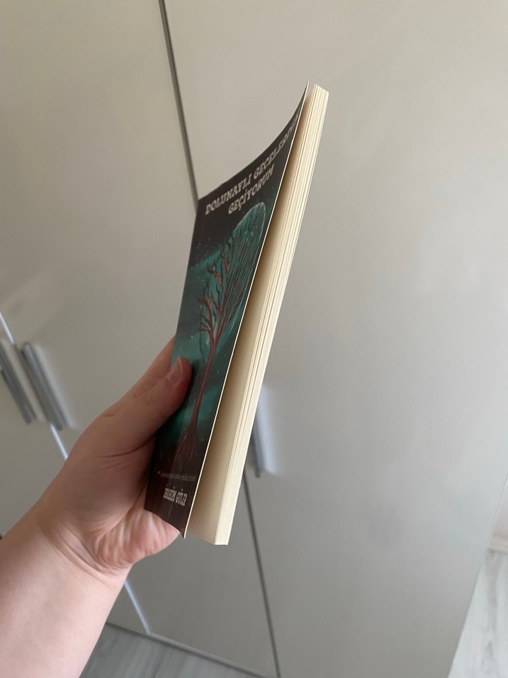 Şiir kitabı - Görsel 2