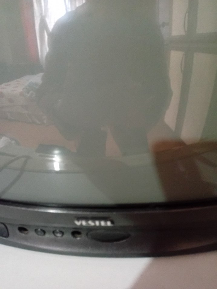 Gri Vestel CRT Monitör - Görsel 4