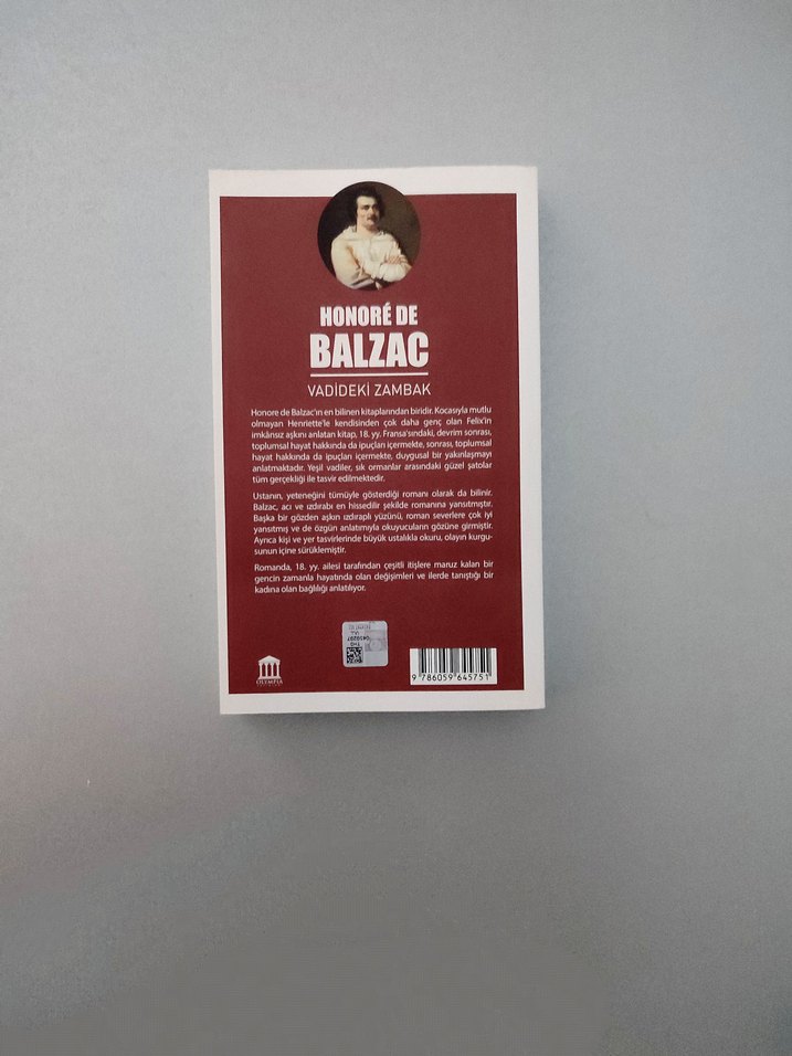 Vadideki Zambak - Honoré de Balzac - Görsel 2
