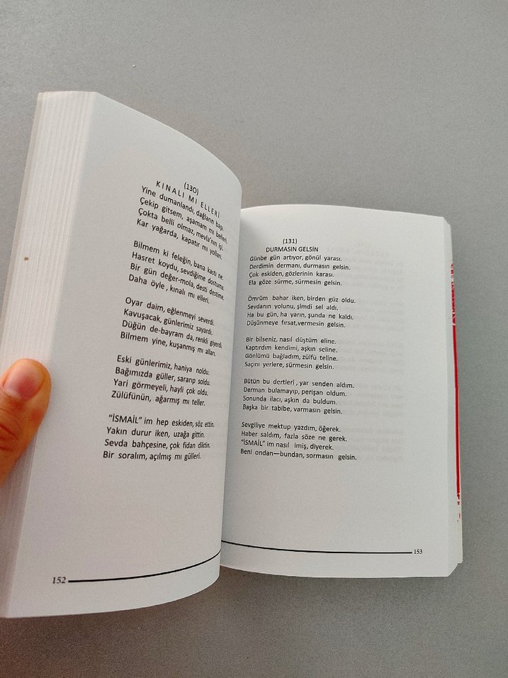 İsmail Karacan - Yaralısın Sen - Görsel 3