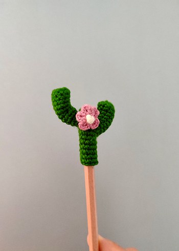 Kaktüs Kalem Başlığı - Görsel 2