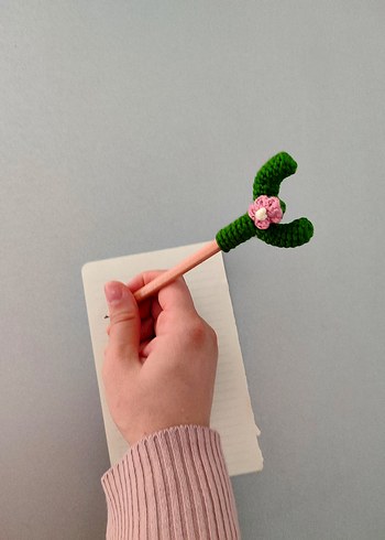 Kaktüs Kalem Başlığı - Görsel 5