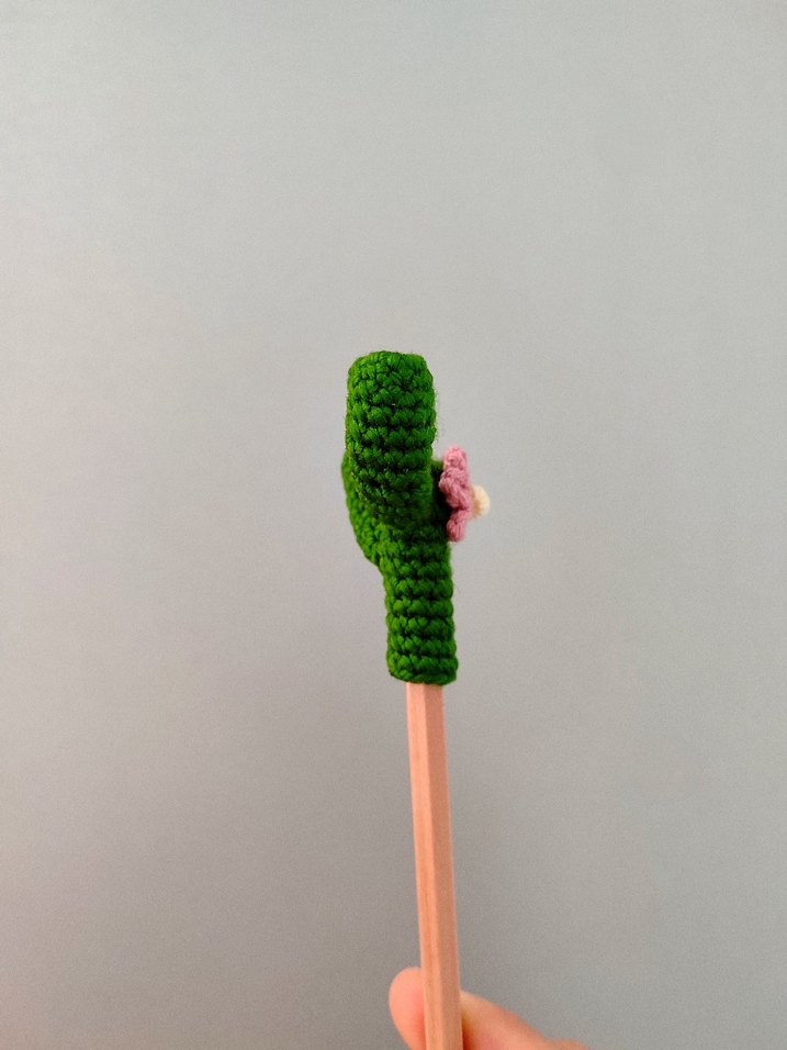 Kaktüs Kalem Başlığı - Görsel 3