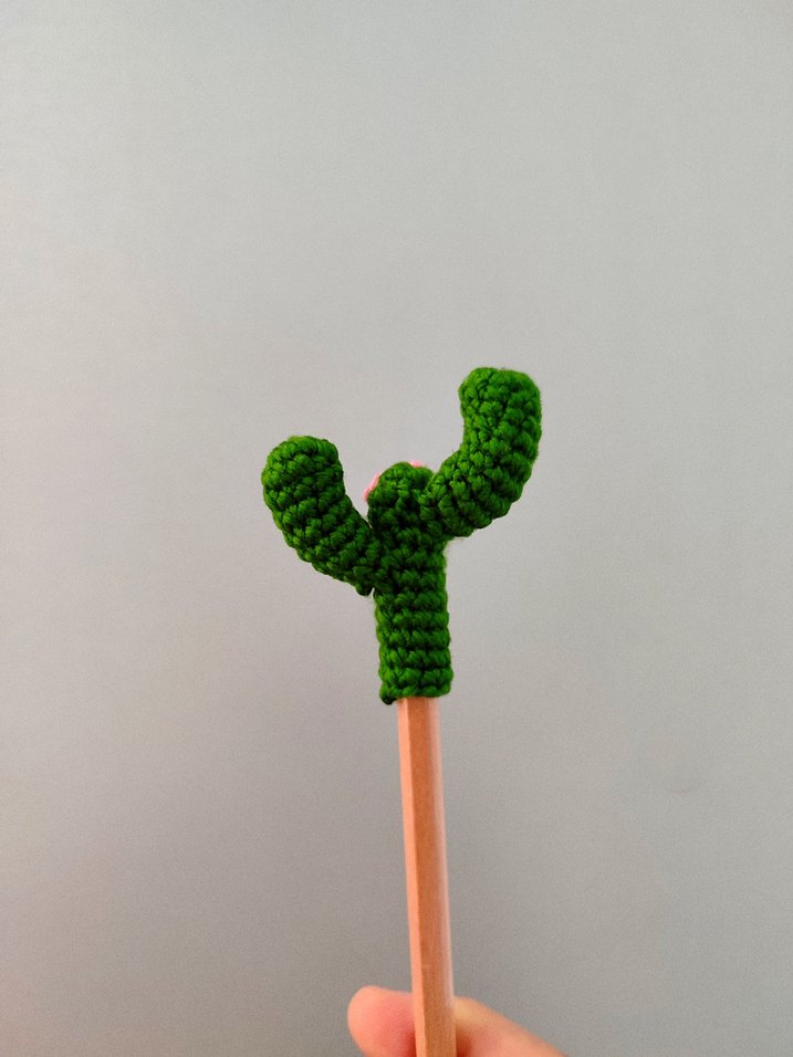 Kaktüs Kalem Başlığı - Görsel 4