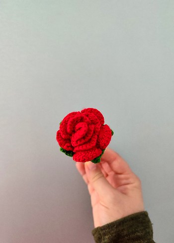 Gül Kalem Başlığı - Görsel 3