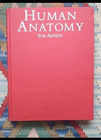  Human anatomy for artist