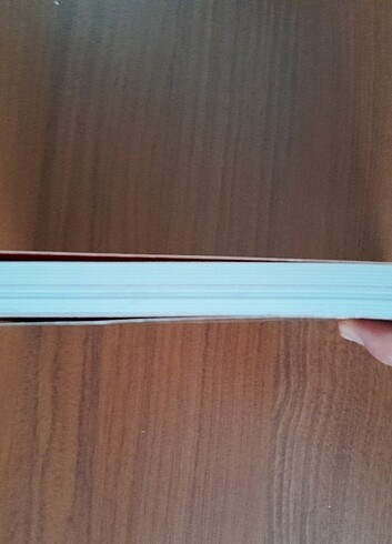 Tanrıya adanan halılar sakıp sabancı müzesi kitabı - Görsel 9