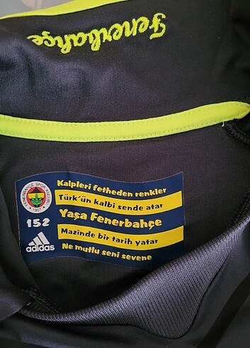 11-12 Yaş Beden Fenerbahçe Erkek Çocuk Tişört 