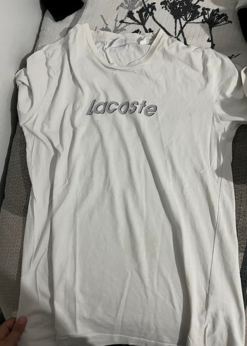 Calvin kleın - lacoste -Collins - Görsel 3